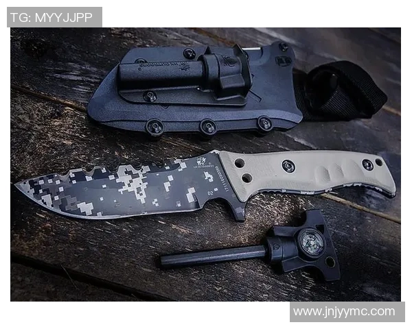 深入分析WE战队包夹战术的实时数据与战术运用 深入分析WE战队包夹战术的实时数据与战术运用