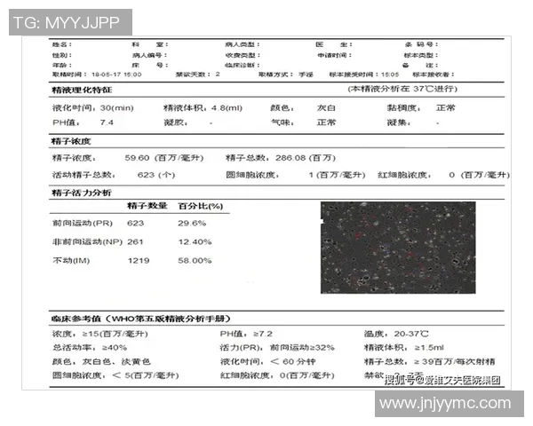 s15电竞总决赛BLG战队实力分析与表现评估报告